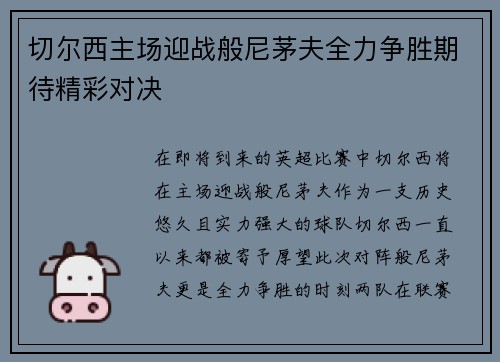 切尔西主场迎战般尼茅夫全力争胜期待精彩对决