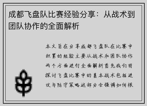 成都飞盘队比赛经验分享：从战术到团队协作的全面解析