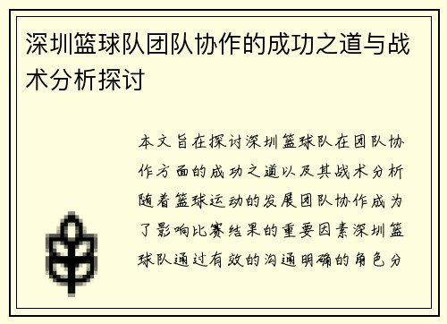 深圳篮球队团队协作的成功之道与战术分析探讨